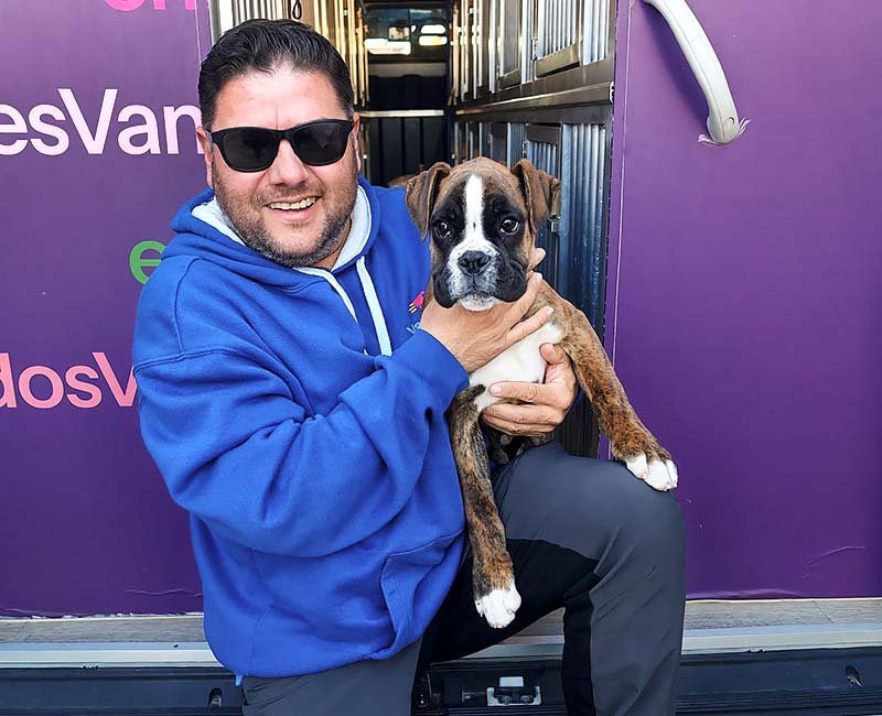 Un hombre abraza a un perro, reflejando ternura y cariño en su expresión.