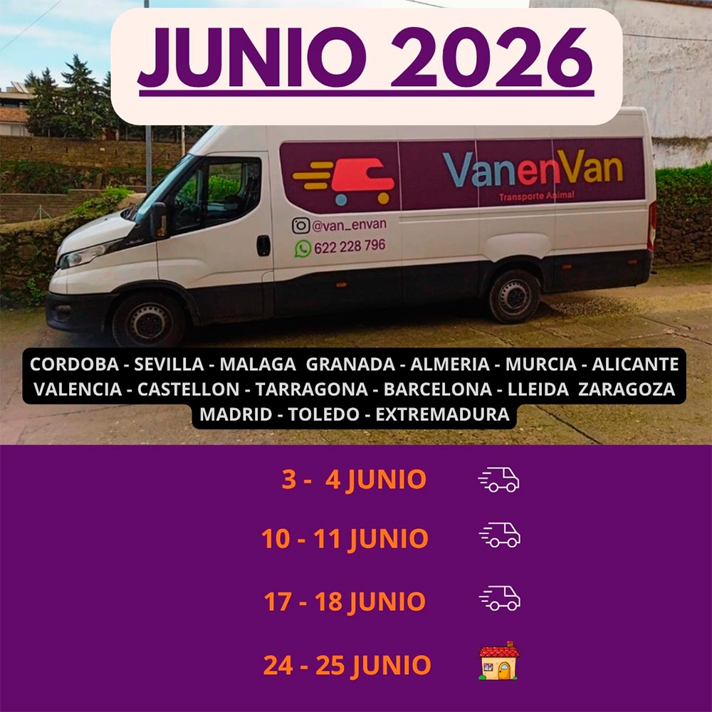 Ruta Vanenvan Noviembre 2025