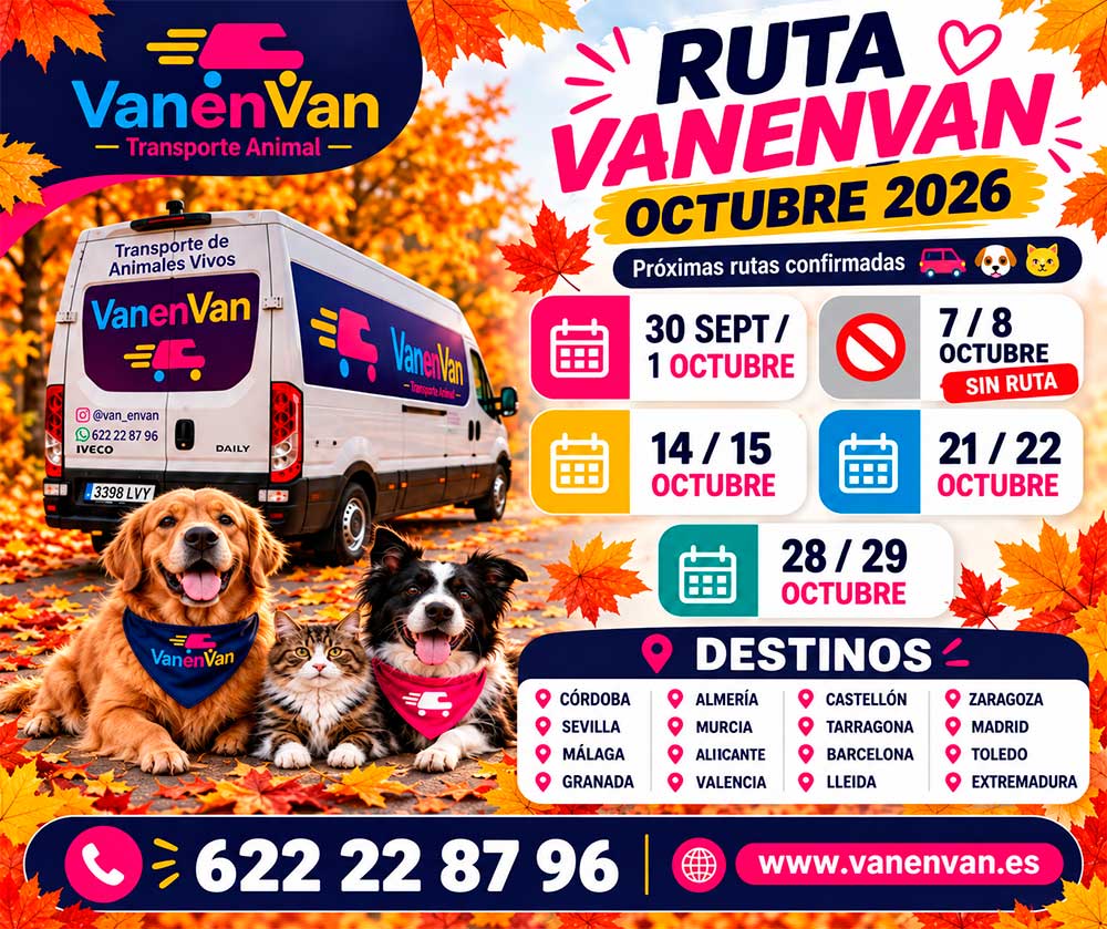 Ruta Vanenvan Noviembre 2025
